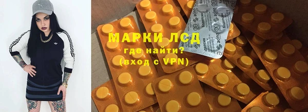 стафф Арсеньев