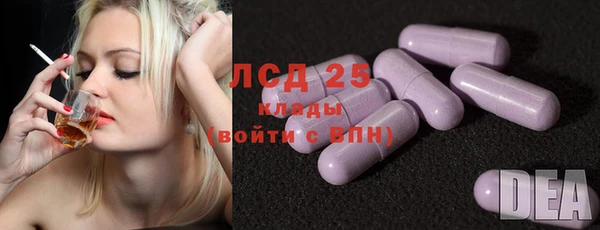 стафф Арсеньев