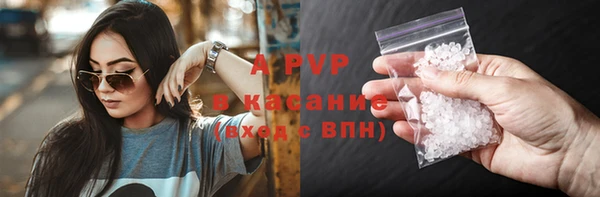 стафф Арсеньев