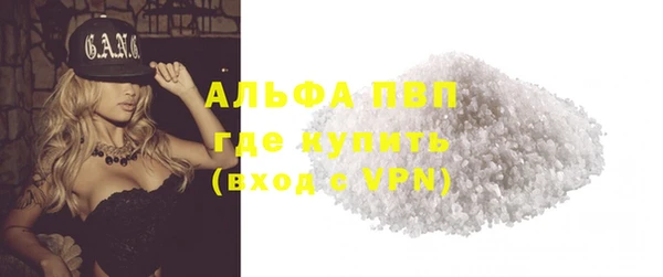 стафф Арсеньев