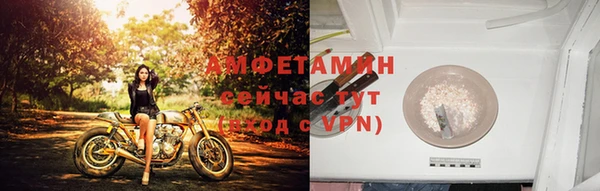 спайс Аркадак