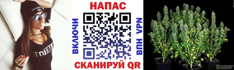 МАРИХУАНА ГИДРОПОН  Купить закладки  Макаров 
